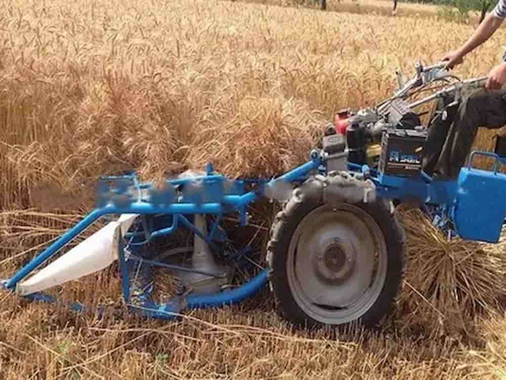 تصویر 1 از دروگر 4 چرخ گندم برای برداشت پایدار در زمین های گسترده